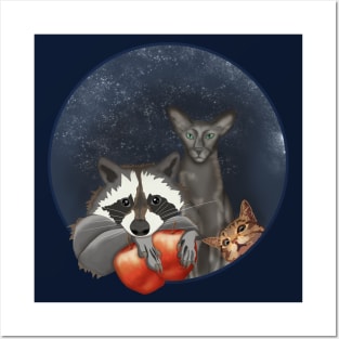 Raccoon and cats Posters and Art